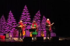 Northern Sky Theaters Home for the Holidays 2019