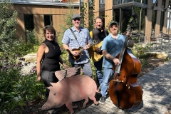 When-Pigs-Fly-Cast-2023